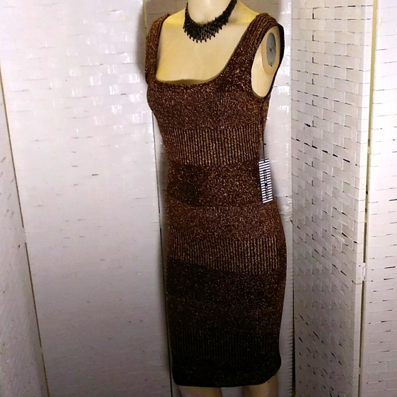 Bronze Chemise NWT - Picture 1 of 8